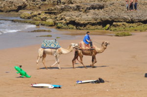 Family surf camp Taghazout Morocco