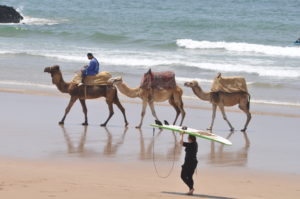 iddouch family surf camp morocco
